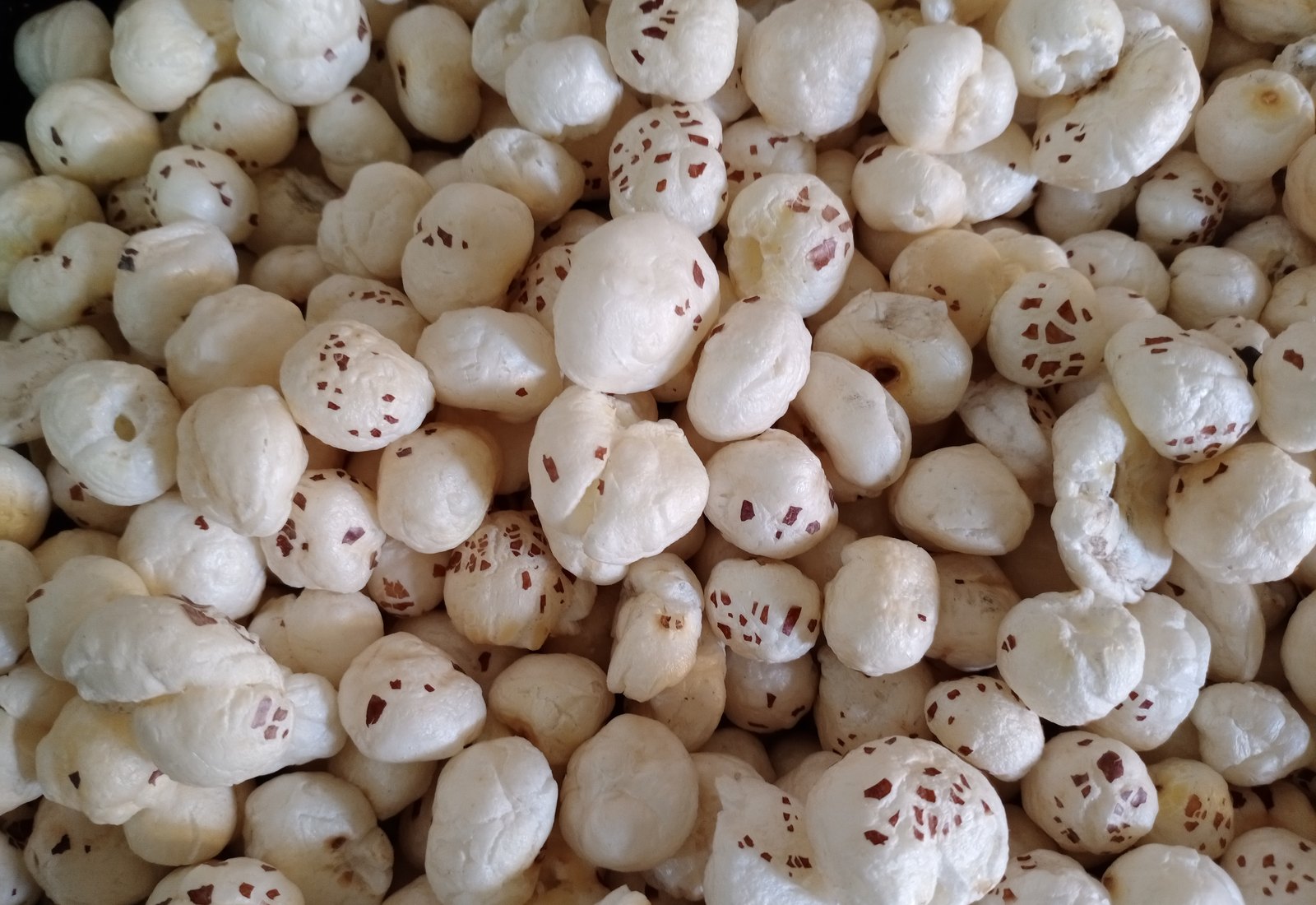 Makhana
